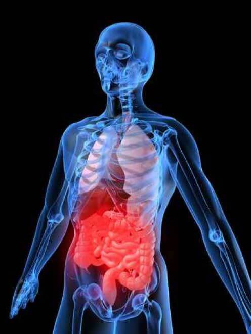 Семинар «Внутренние органы,  влияние на скелетную  мускулатуру и нервную систему»